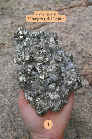 Wild Abundance Pyrite Cluster