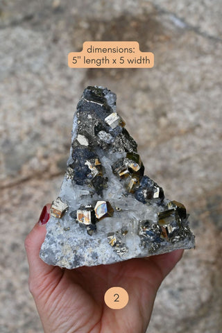 Wild Abundance Pyrite Cluster