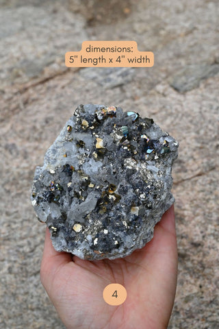 Wild Abundance Pyrite Cluster
