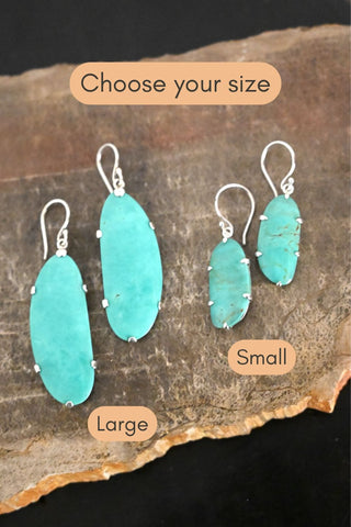 Wild Skyline Arizona Turquoise Earrings