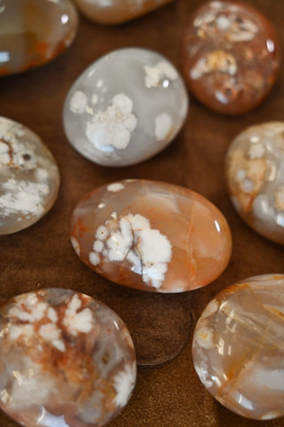 Born to Bloom Carnelian Flower Agate Palm Stone