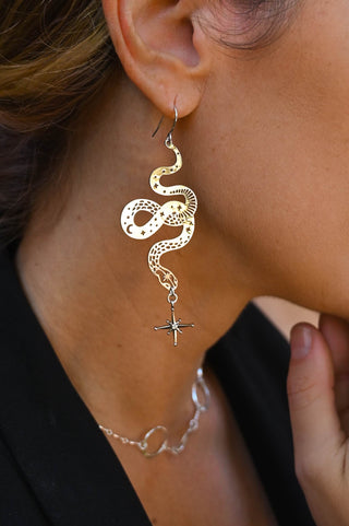 I Am Transforming Silver Snake Earrings